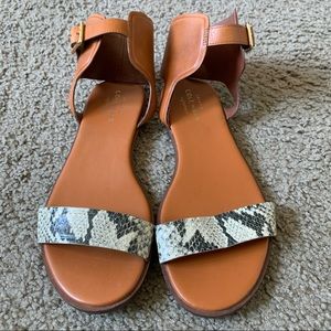 Barra Leather Ankle-Strap Sandal
